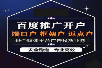 初学者的百度竞价推广：成功案例揭秘